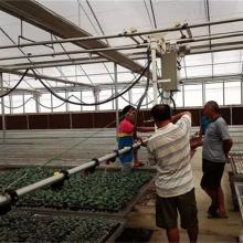 廣西欽州市青龍山莊英美苗木基地 育苗用品與農(nóng)副產(chǎn)品的專業(yè)供應(yīng)商