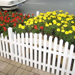 河北衡水安平縣迪森絲網(wǎng)廠 盆景種植的優(yōu)質(zhì)合作伙伴