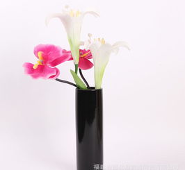 現(xiàn)代簡(jiǎn)約陶瓷工藝品花瓶 價(jià)格、廠家與搭配指南