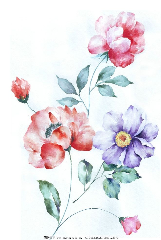 手繪花卉 自然之美的紙上綻放