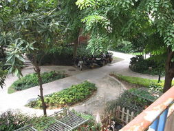 廈門吉利園 匠心獨(dú)運(yùn)，盆景藝術(shù)點(diǎn)亮花卉世界