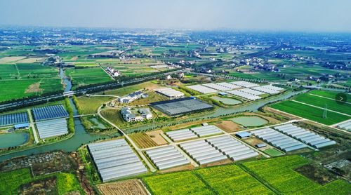 十年耕耘，有機新生 地產商轉型，用豆漿澆灌出健康瓜果與花卉